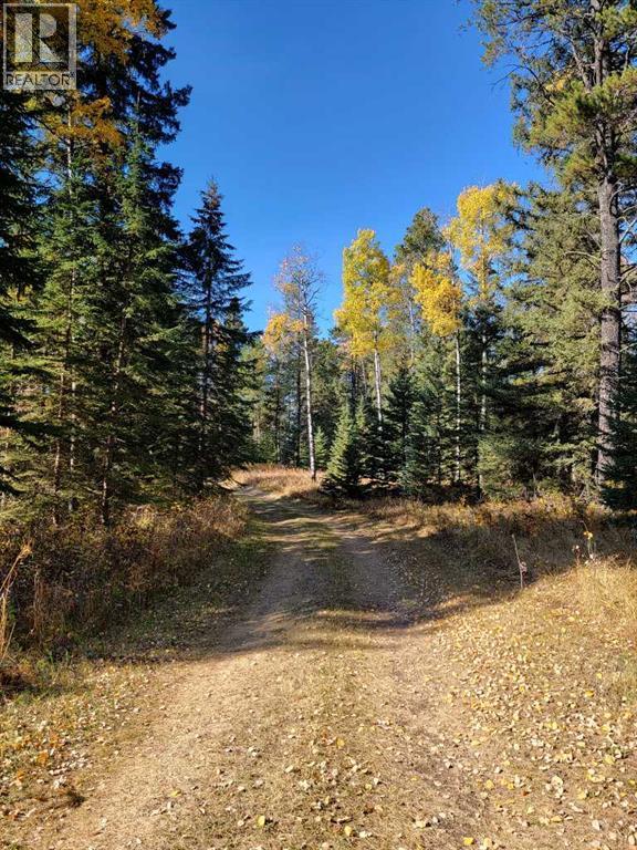 36057 Range Road 43 - photo 4