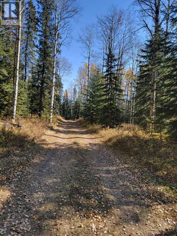 36057 Range Road 43 - photo 3