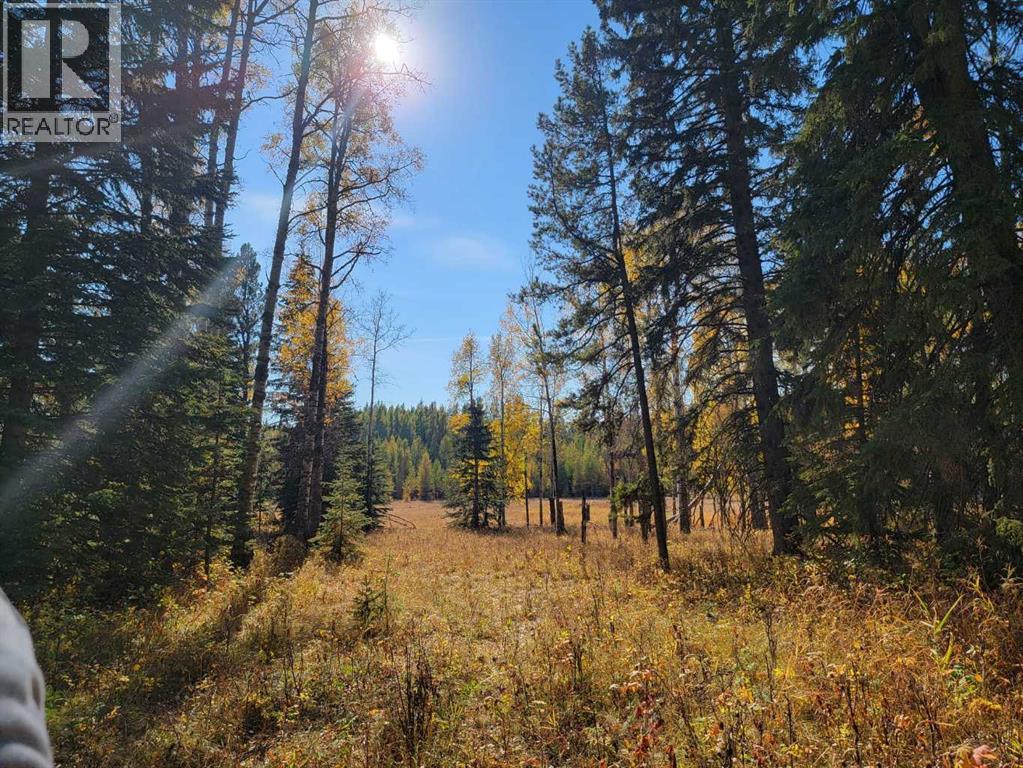 36057 Range Road 43 — photo 34