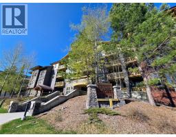 2070 Summit Drive Unit# 304, Panorama, BC V0A1T0 Photo 22