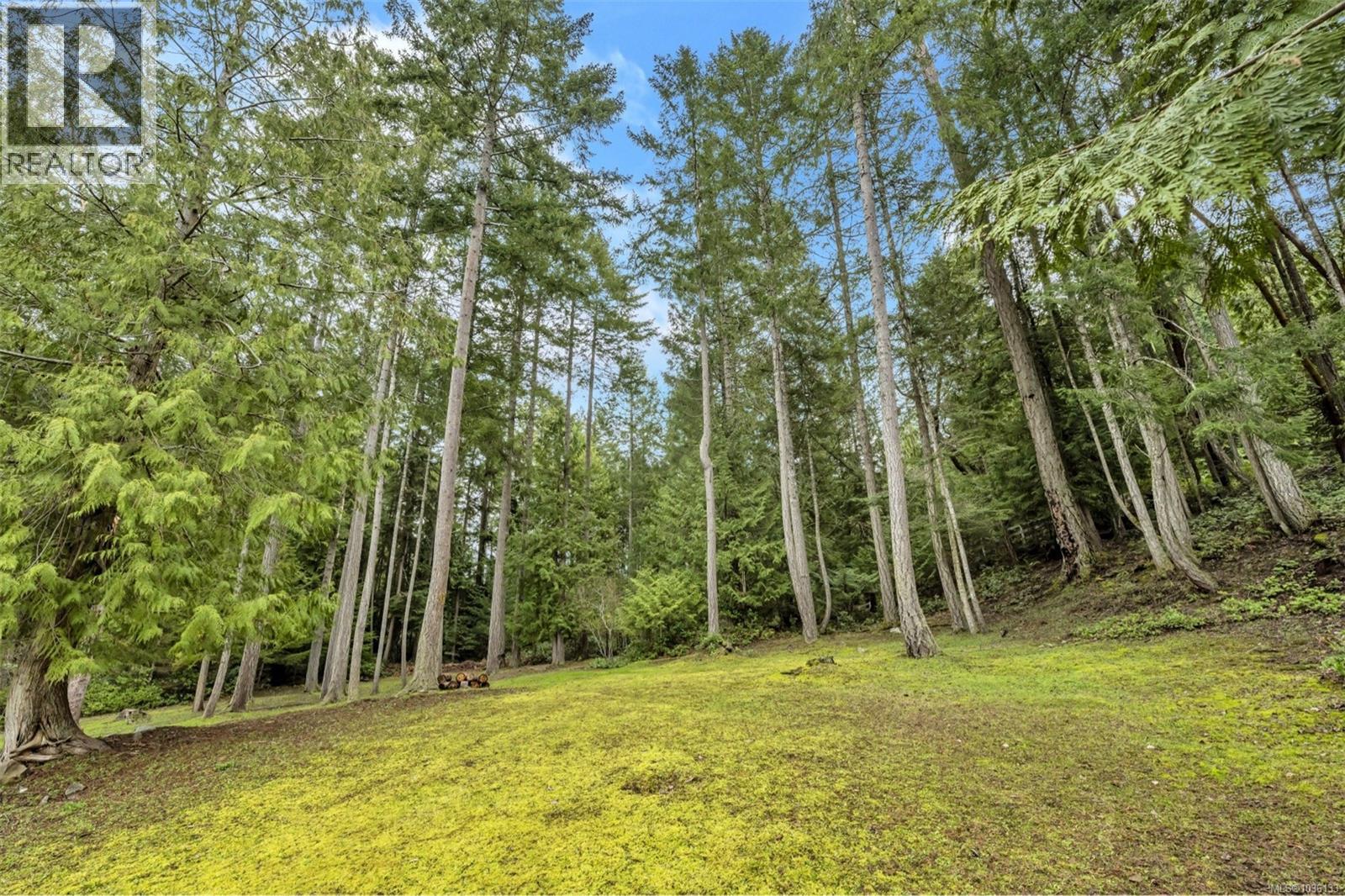 2812 Southey Point Rd - 30