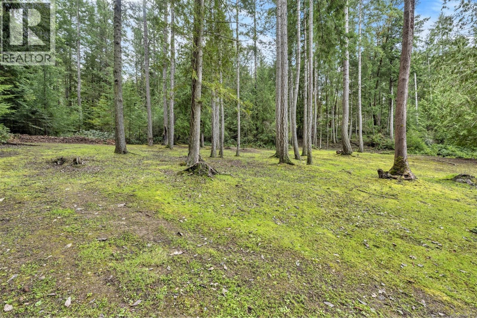 2812 Southey Point Rd - 31