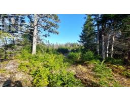 Lot 74-75 Peter Sosna Dr, Hay Cove, NS B0E3B0 Photo 16