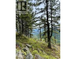 Dl640 Granite Mountain Road, Rossland, BC V0G1Y0 Photo 7