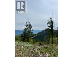 Dl640 Granite Mountain Road, Rossland, BC V0G1Y0 Photo 8