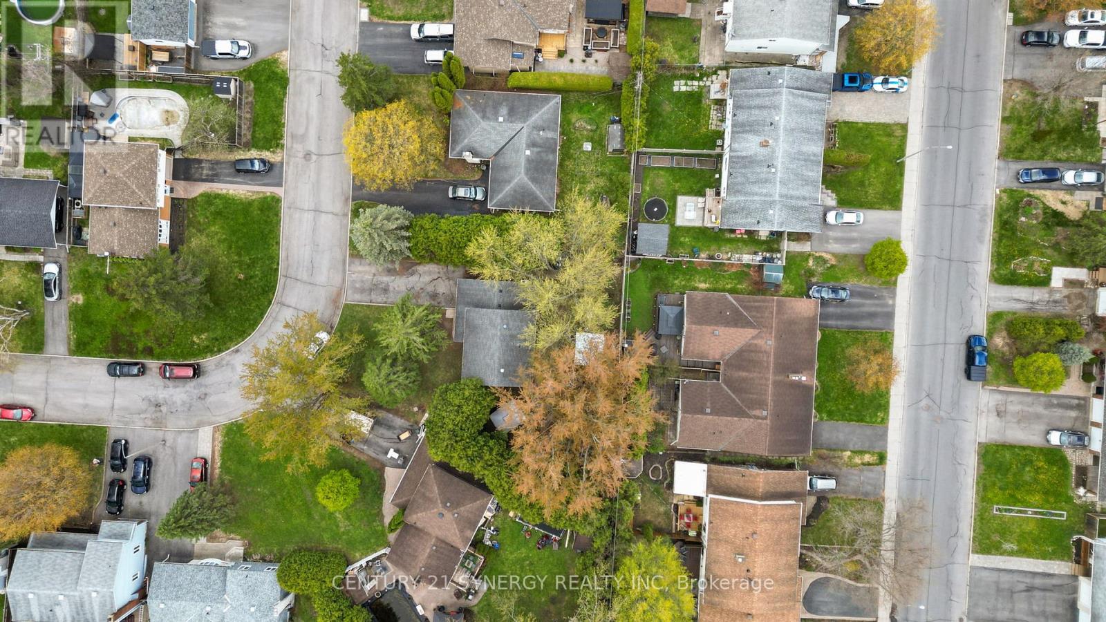 346 NAGEL AVENUE - 49
