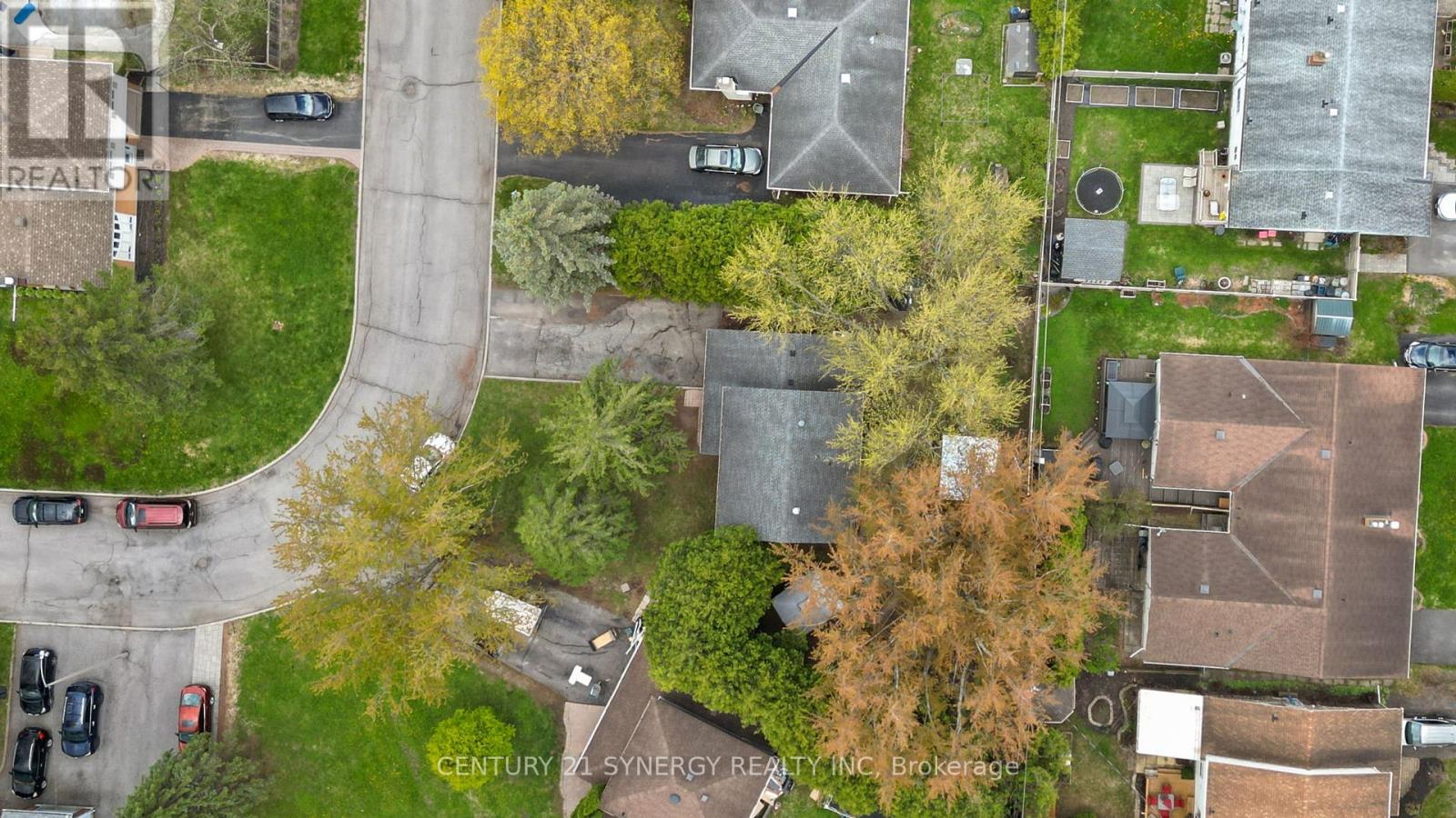 346 NAGEL AVENUE - 50