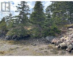 12-16 Back Cove Road thumbnail 29