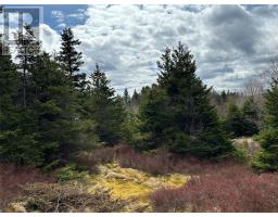 12-16 Back Cove Road thumbnail 32