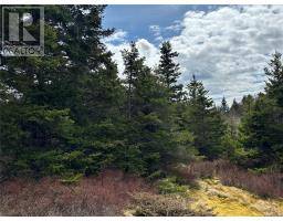 12-16 Back Cove Road thumbnail 33