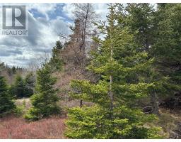 12-16 Back Cove Road thumbnail 34