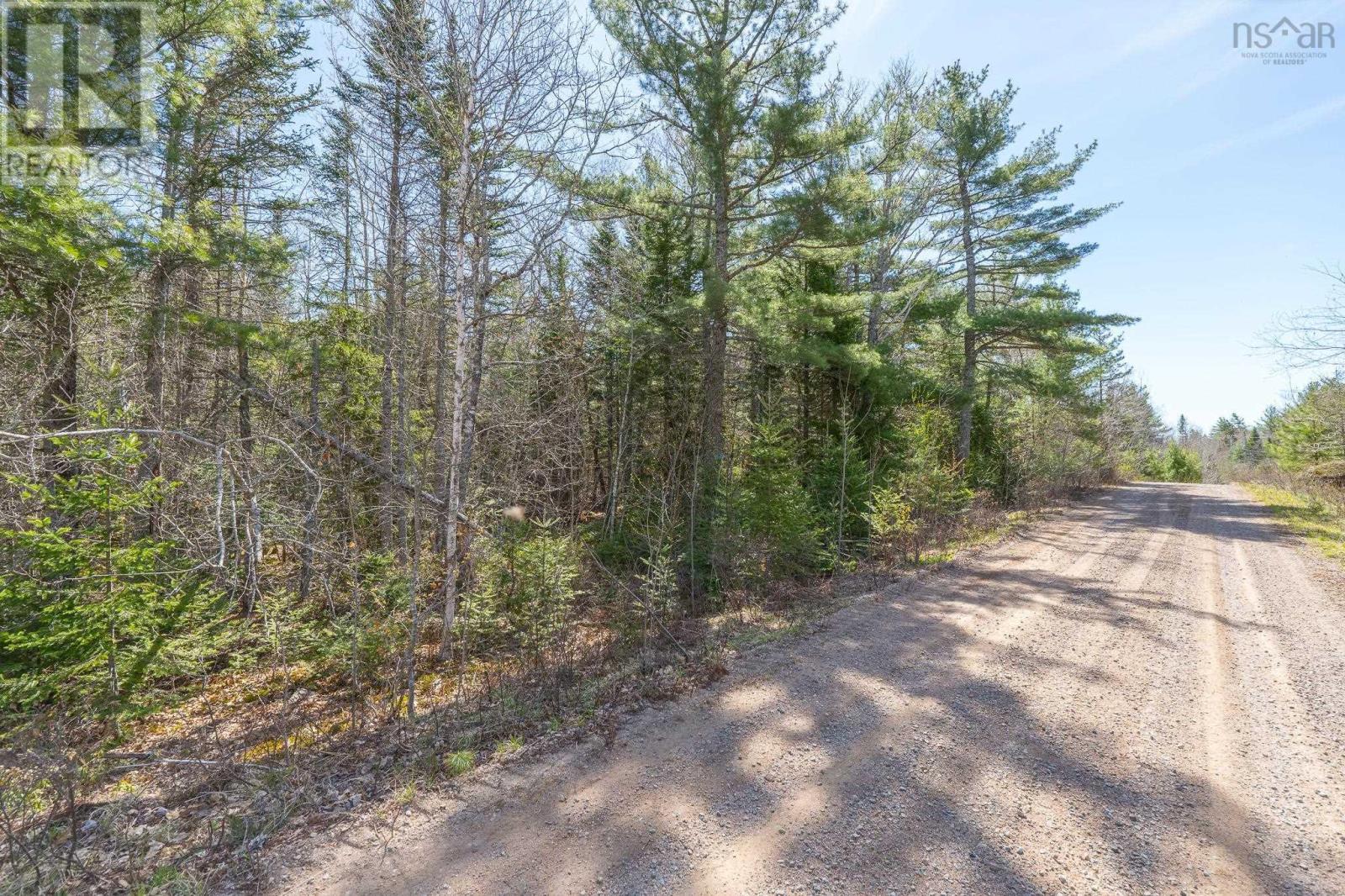 Property 3 of 8 of Lot 77 Waterloo Avenue