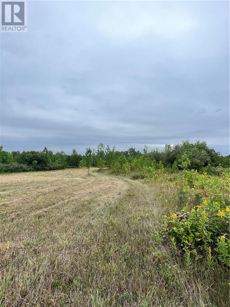 PT 2 Highway 540, Gore Bay, Manitoulin Island, Ontario, P0P1H0 — Photo 11