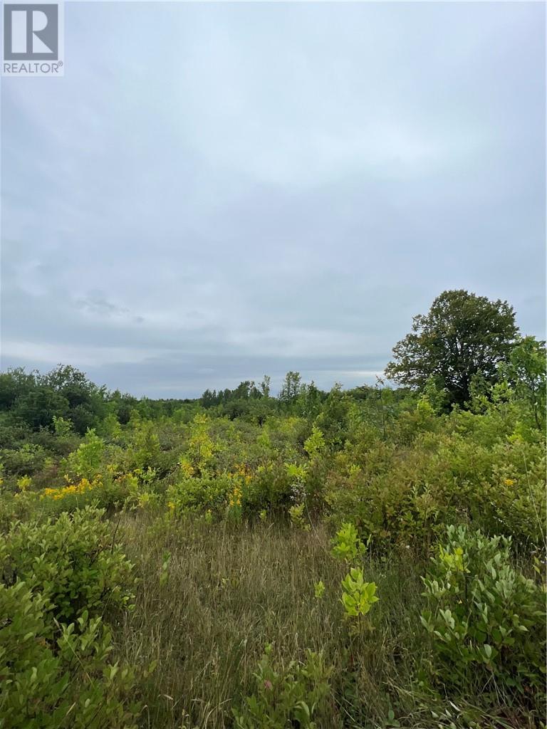 PT 2 Highway 540, Gore Bay, Manitoulin Island, Ontario, P0P1H0 — Photo 9