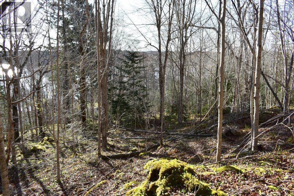 Property 1 of 22 of Lot 1&2, Mood Road