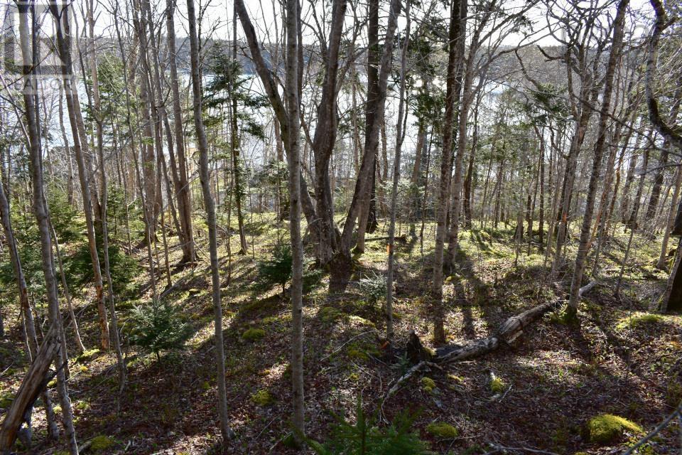 Property 2 of 22 of Lot 1&2, Mood Road