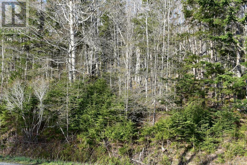 Property 3 of 22 of Lot 1&2, Mood Road
