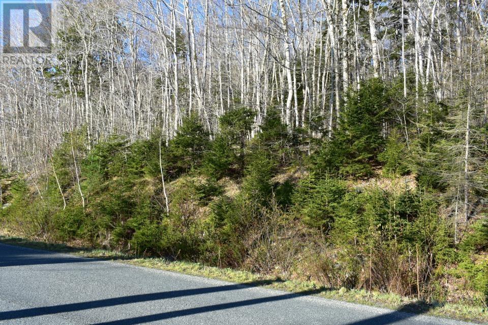Property 4 of 22 of Lot 1&2, Mood Road