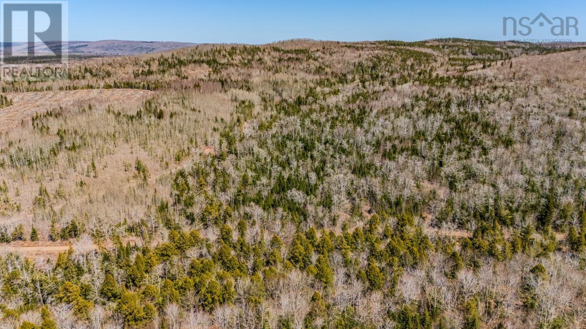 Property 3 of 7 of Lots BARNEYS RIVER EAST SIDE Road