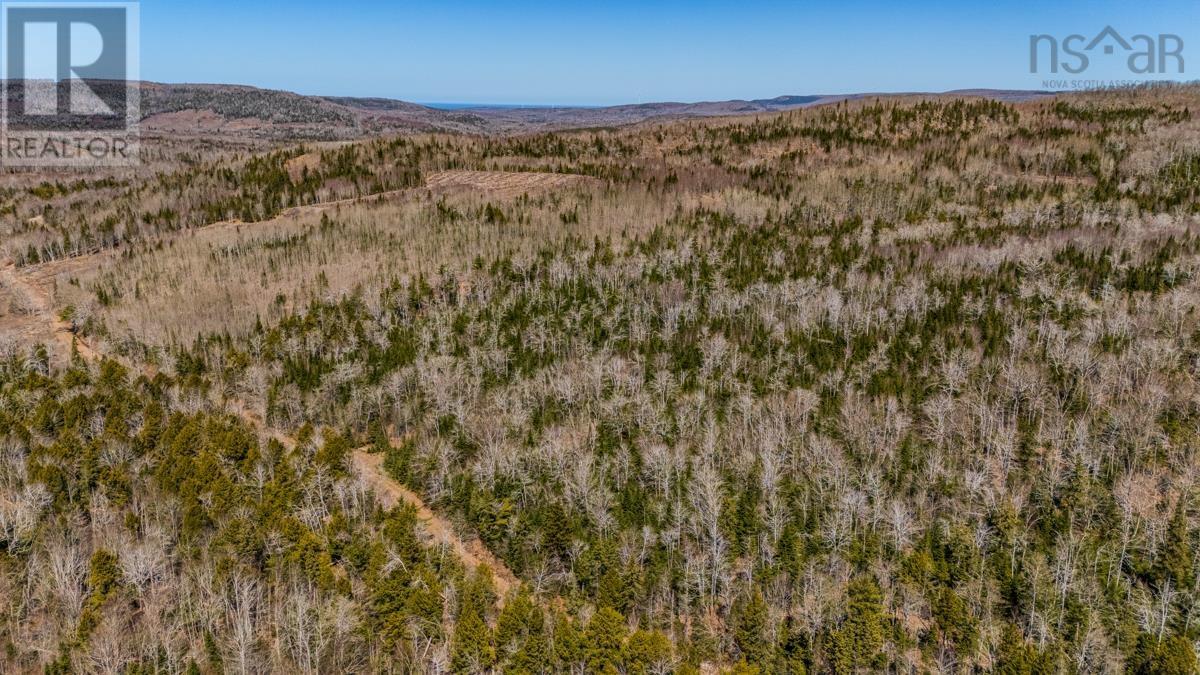 Property 2 of 7 of Lots BARNEYS RIVER EAST SIDE Road