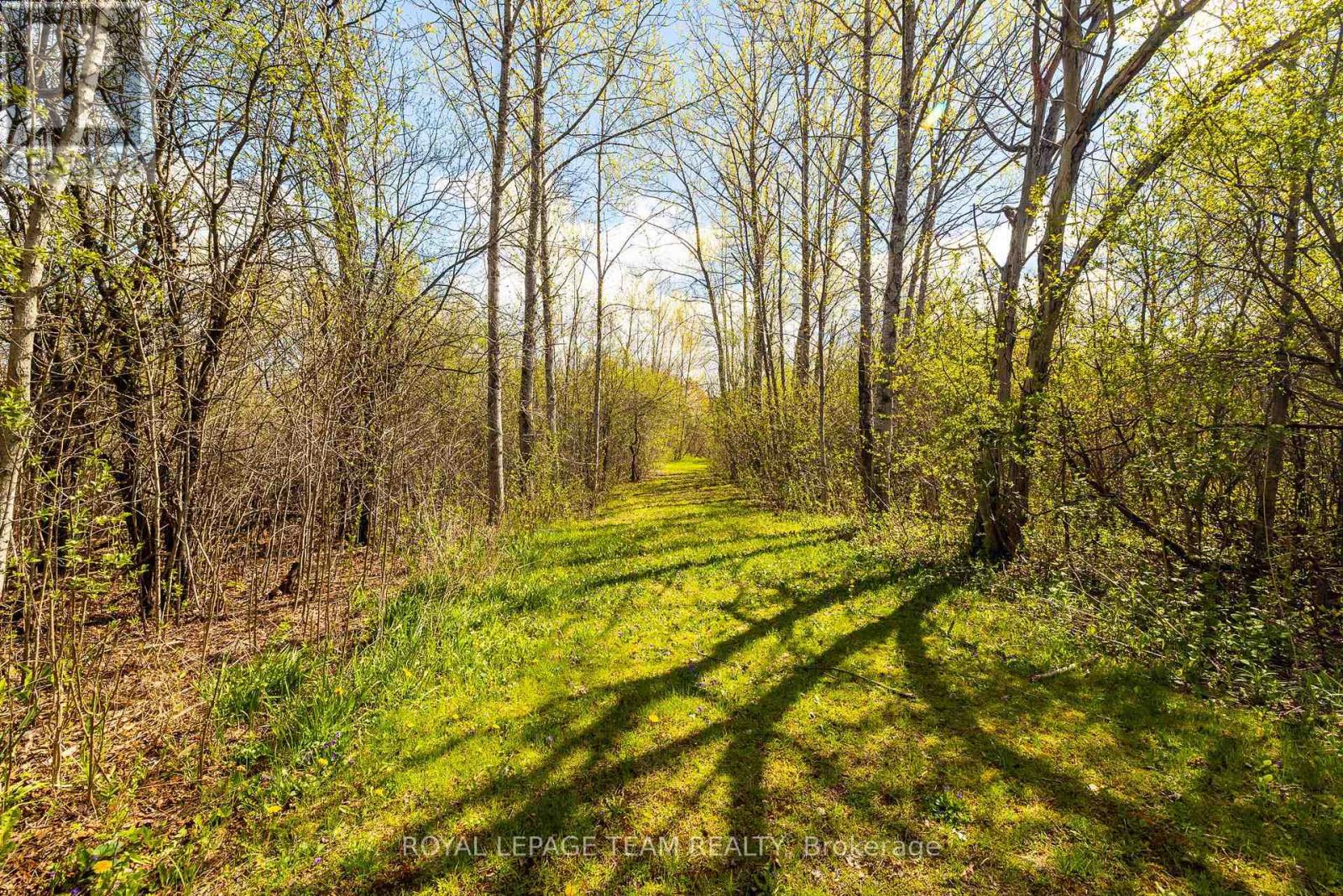 167 GARDINER ROAD - 39