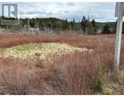 178-208 Conception Bay Highway thumbnail 5
