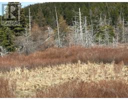 178-208 Conception Bay Highway thumbnail 8