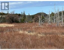 178-208 Conception Bay Highway thumbnail 9