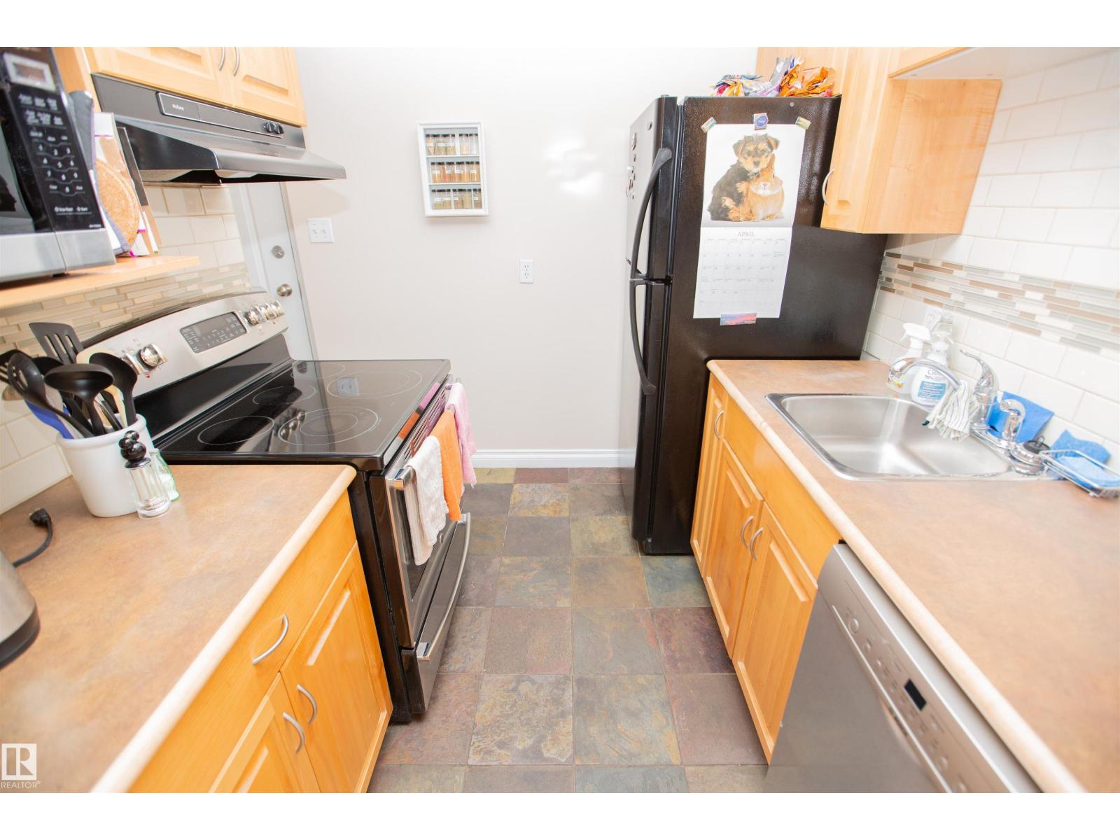 #213 11033 127 ST NW, Edmonton