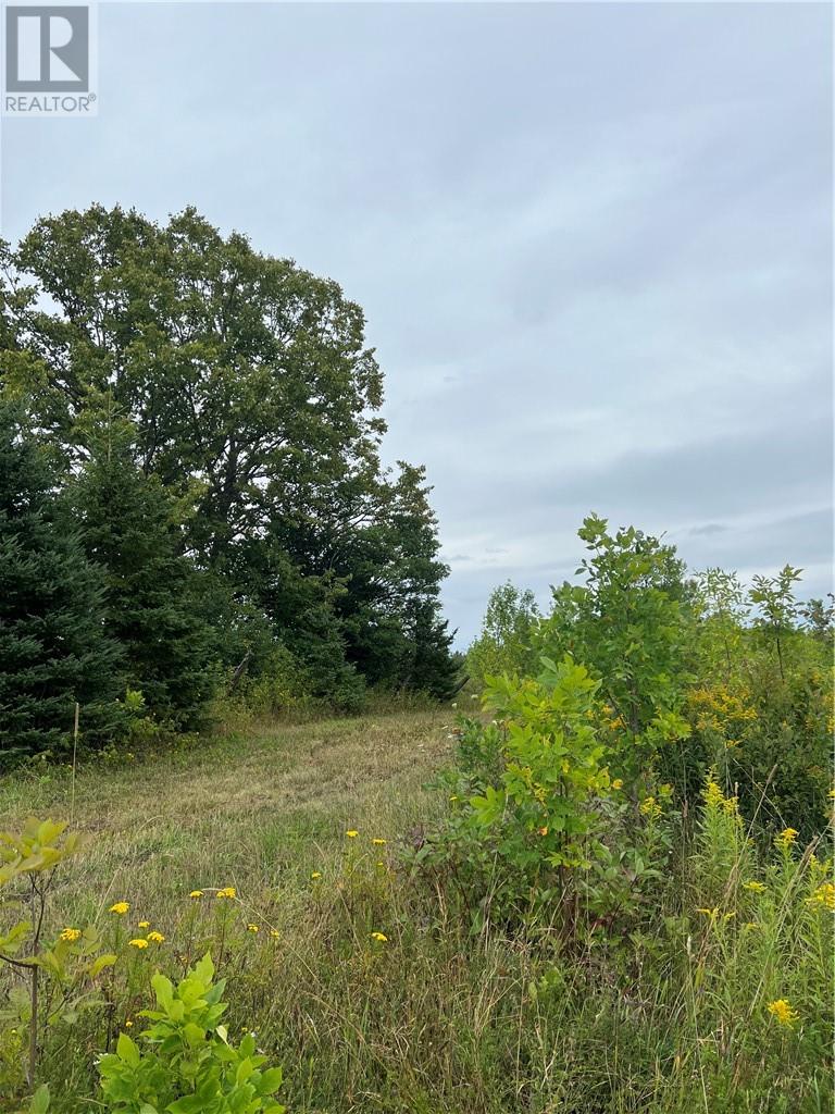 PT 1 Highway 540, Gore Bay, Manitoulin Island, Ontario, P0P1H0 — Photo 13