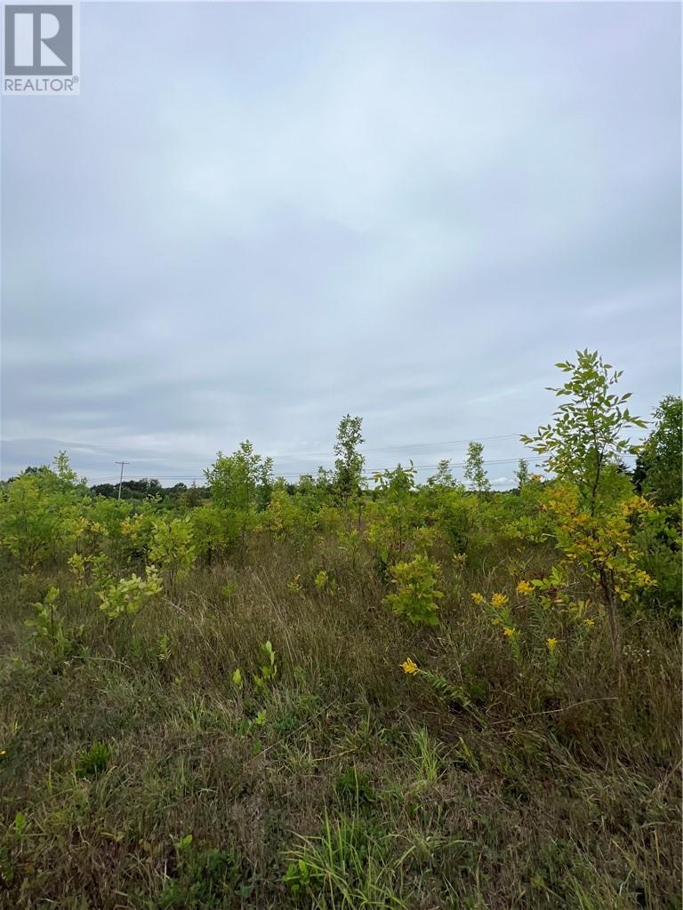 PT 1 Highway 540, Gore Bay, Manitoulin Island, Ontario, P0P1H0 — Photo 9