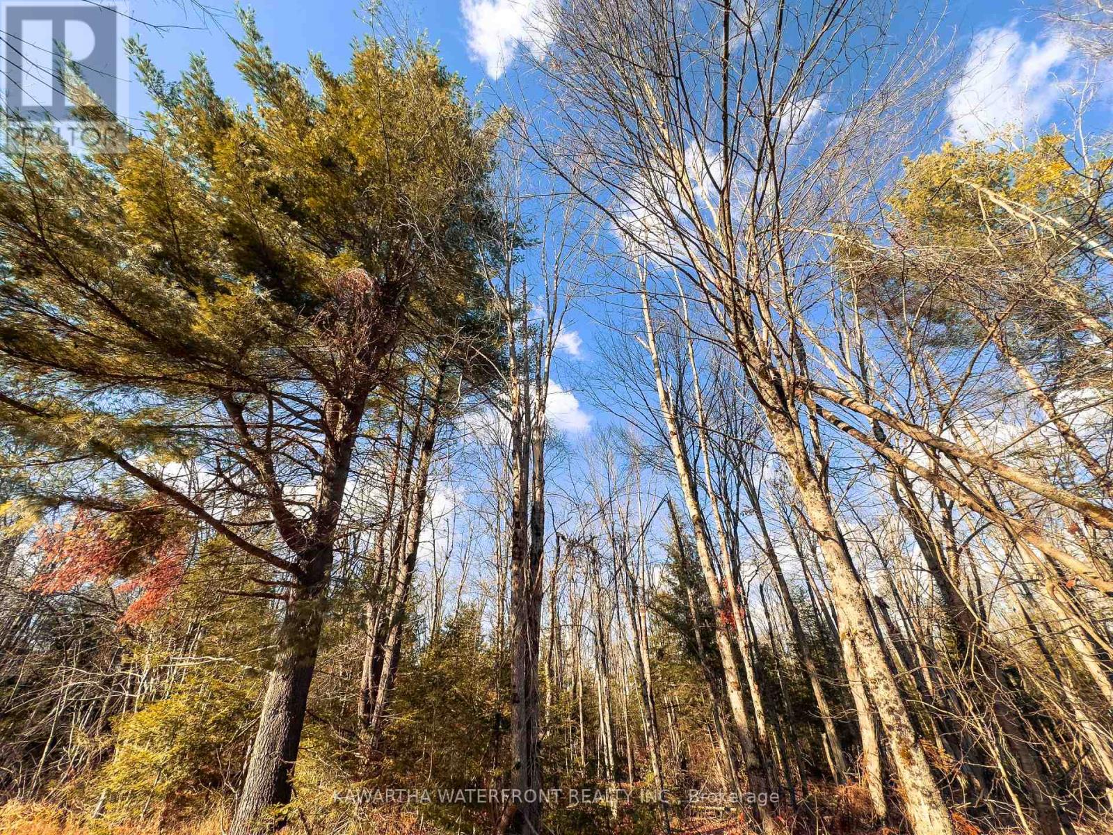 0 WEISMULLER LANE, Bracebridge (Draper) — photo 2
