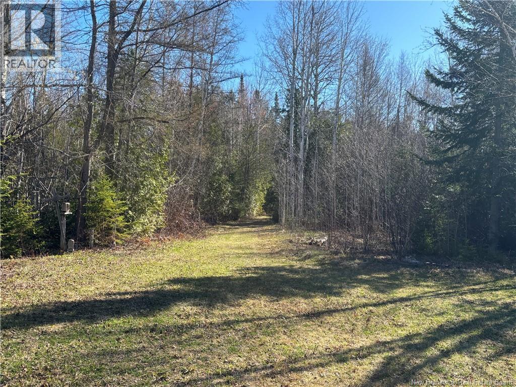 11.98 Acres Chemin Tremblay, Tremblay — photo 3