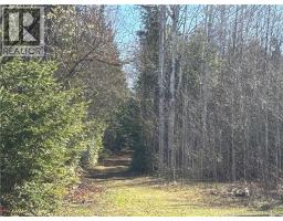 11.98 Acres Chemin Tremblay, Tremblay, NB E8J1A6 Photo 6