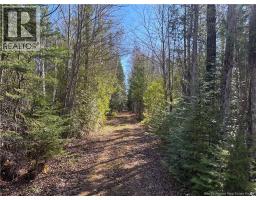 11.98 Acres Chemin Tremblay, Tremblay, NB E8J1A6 Photo 7