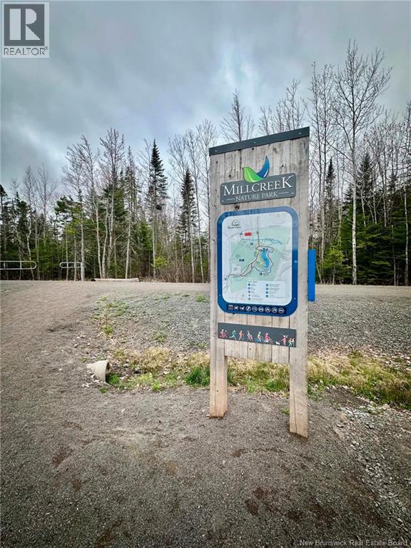 185 Oakfield Drive - 46