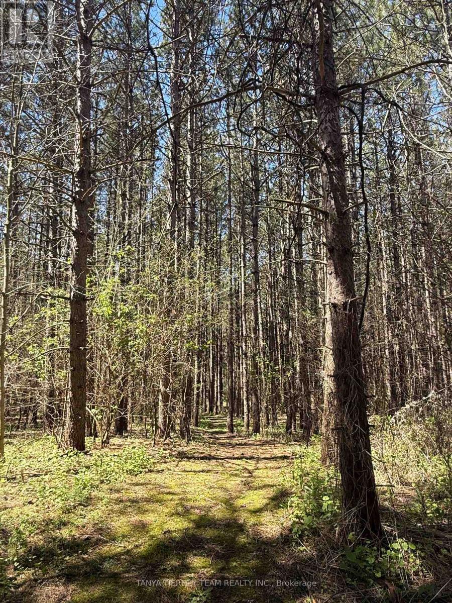 1180 LAKERIDGE ROAD - 50