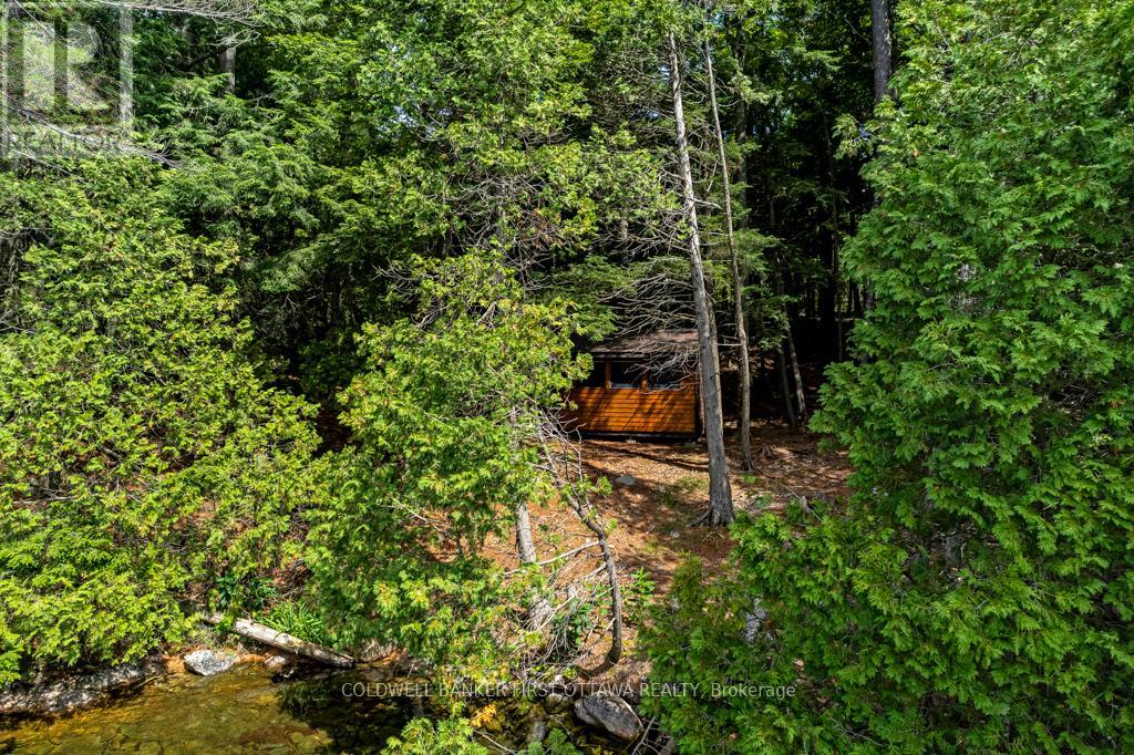 2275 PALMERSTON LAKE - 42