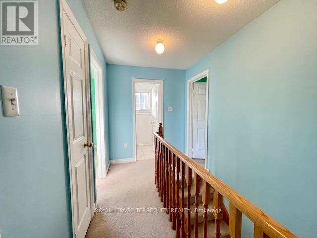 24 PERGOLA WAY - 34