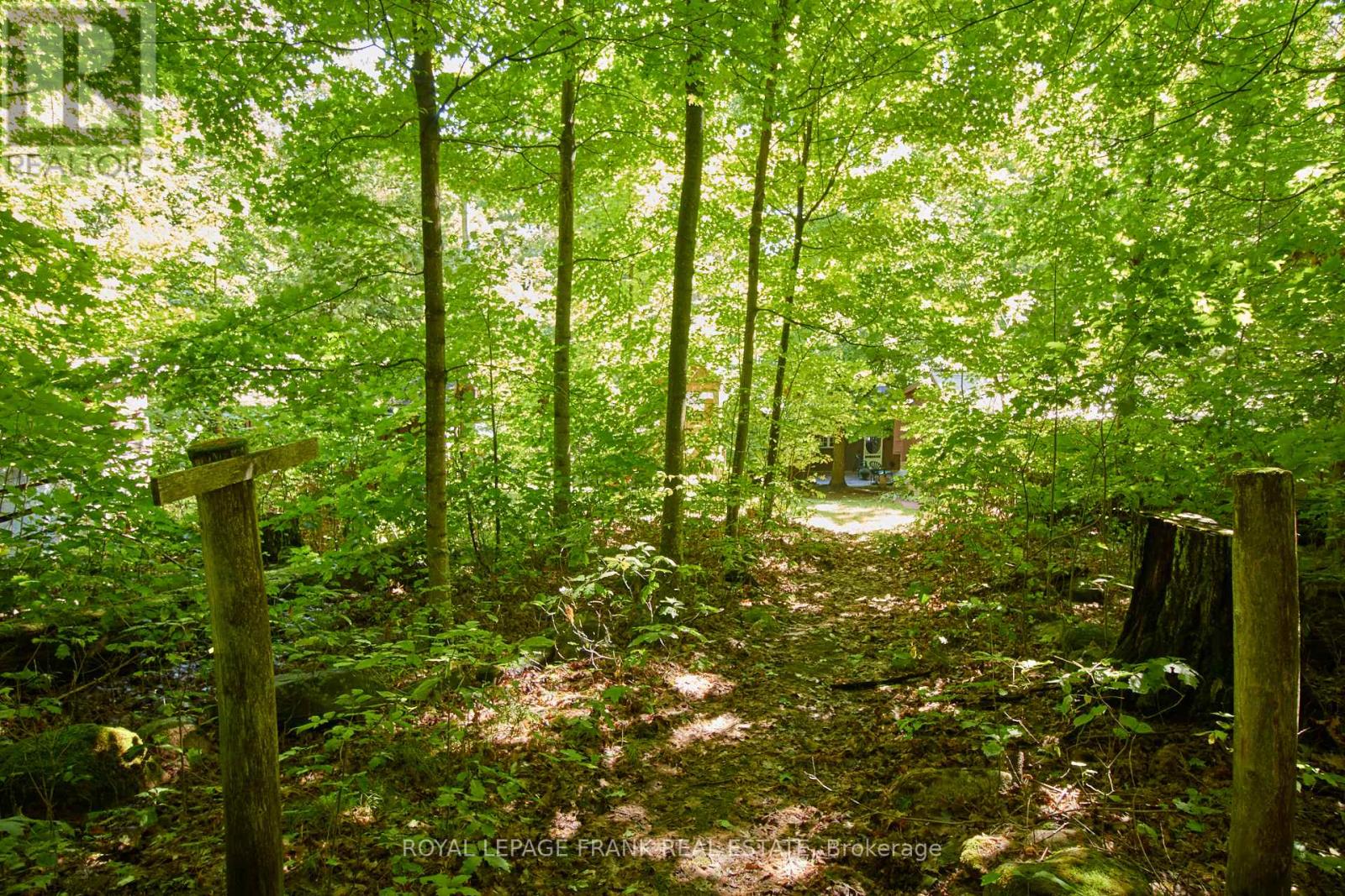 2A WHITES ISLAND - 31