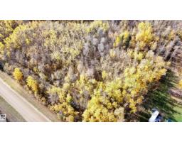 Range Rd 113 Lakeland County, Rural Lac La Biche County, AB T0A2T0 Photo 11