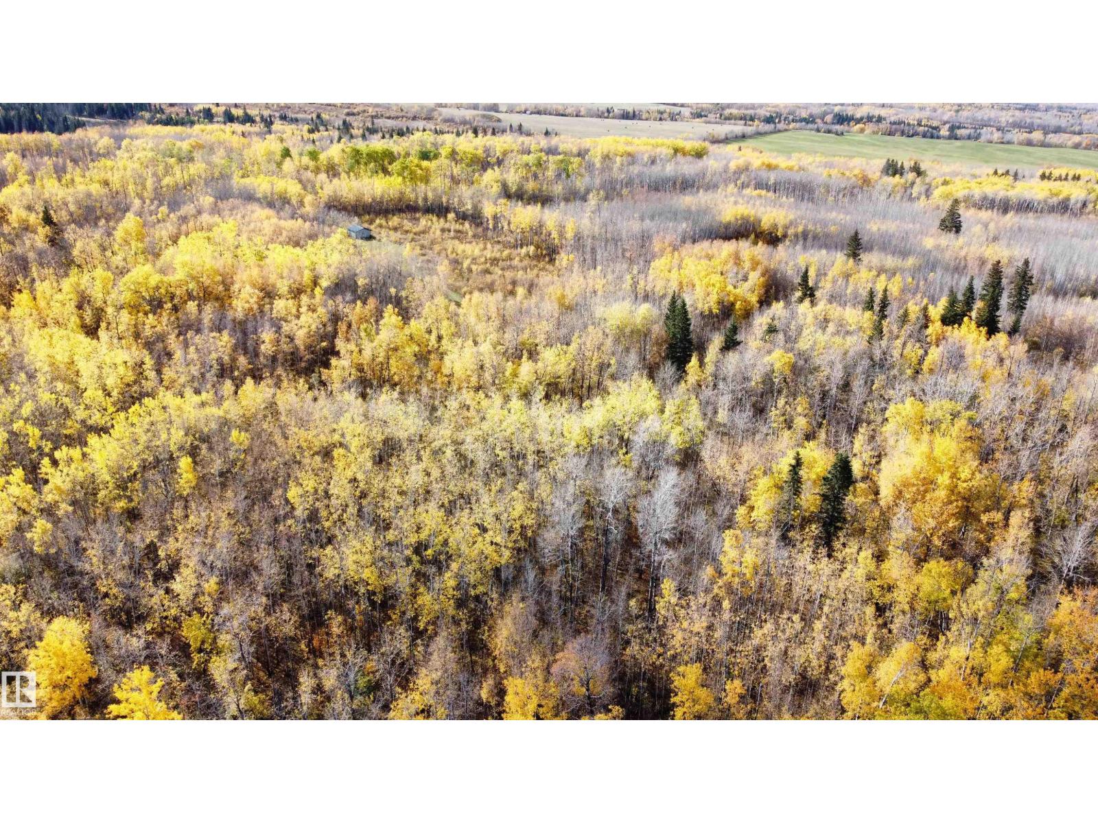 Range Rd 113 Lakeland County - photo 5