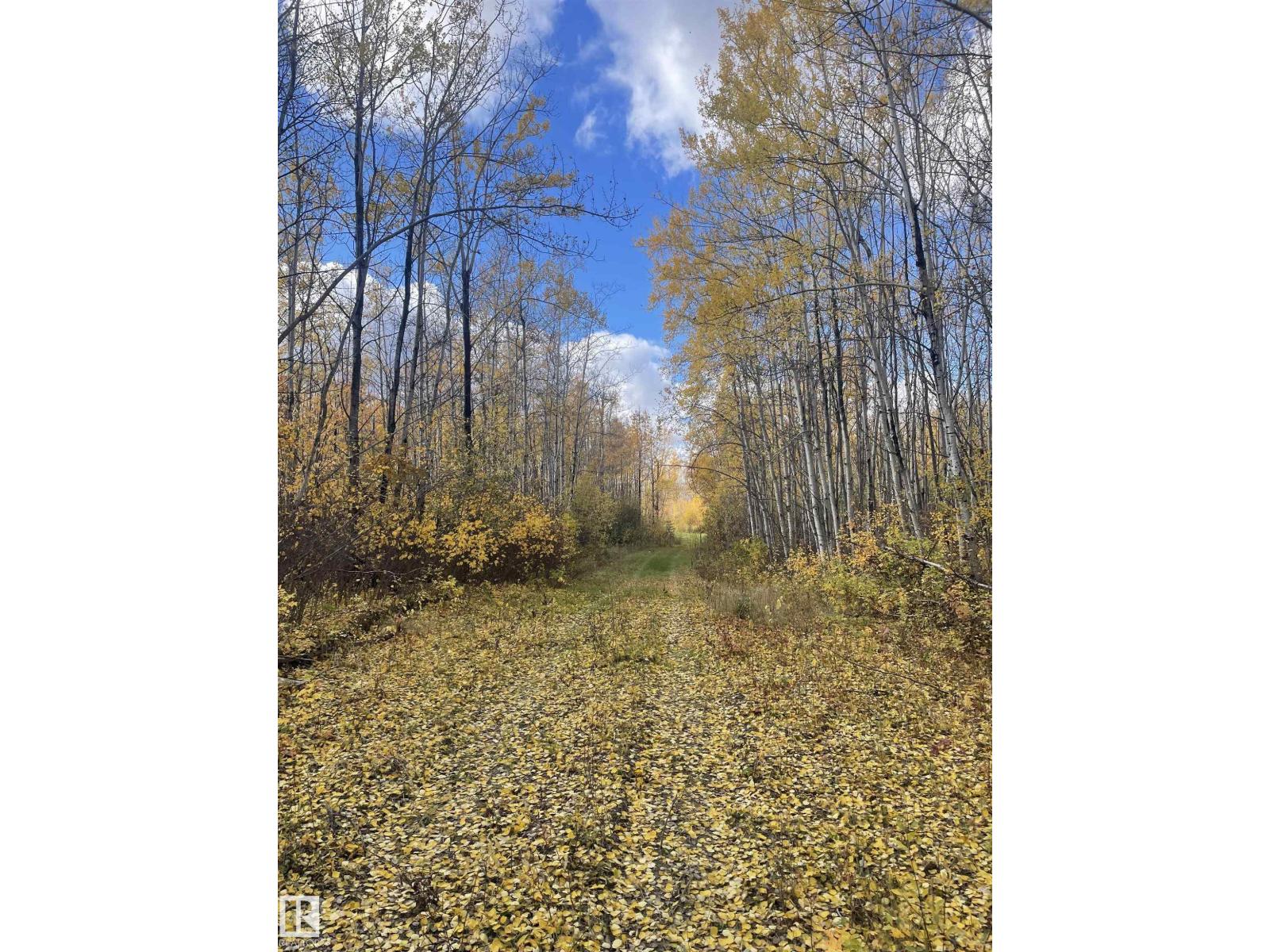 Range Rd 113 Lakeland County — photo 12