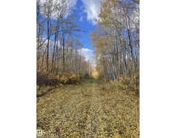 Range Rd 113 Lakeland County, Rural Lac La Biche County, AB T0A2T0 Photo 22