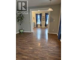 115 Murray Street, Brantford, ON N3S5P5 Photo 11