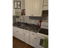 115 Murray Street, Brantford, ON N3S5P5 Photo 12