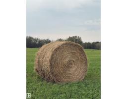 5109 Hwy 616, Rural Brazeau County, AB T0C0P0 Photo 10