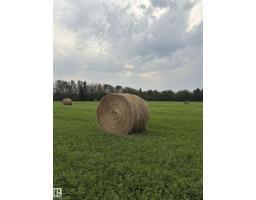 5109 Hwy 616, Rural Brazeau County, AB T0C0P0 Photo 12