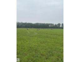 5109 Hwy 616, Rural Brazeau County, AB T0C0P0 Photo 8