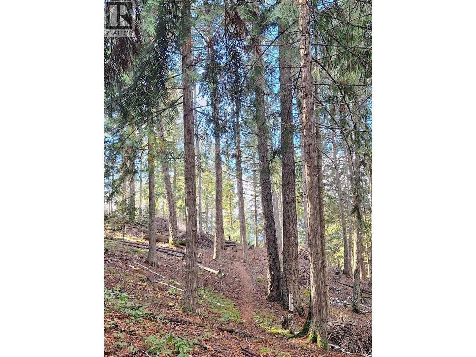 4039 Zapp Road - 37
